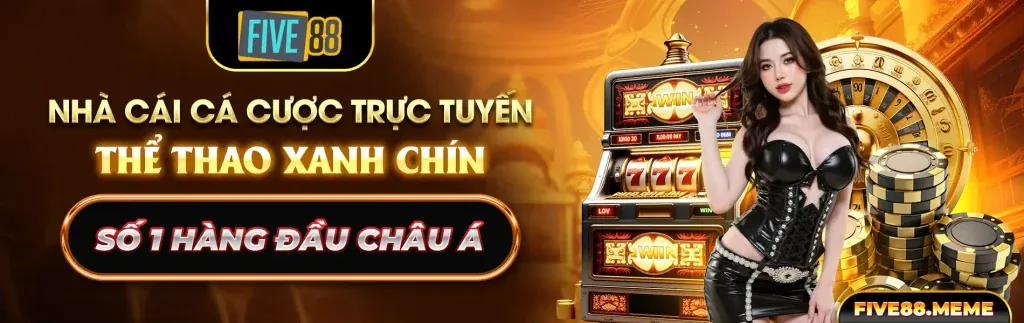 Chính sách Cookie 66ff chính thức
