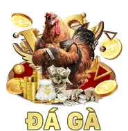 Hỗ trợ khách hàng 66ff